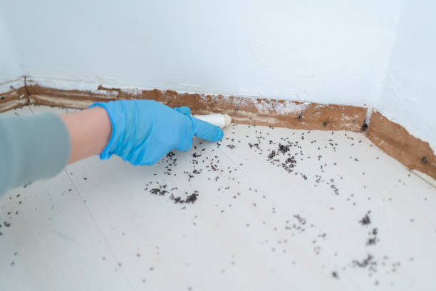 Best Pest Control for Multi-Family Homes  in Havana, FL